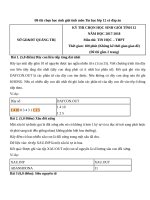 Đề thi chọn học sinh giỏi tỉnh môn tin học lớp 12 có đáp án