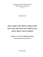 Phát triển trí thông minh ngôn ngữ cho trẻ mầm non thông qua hoạt động trải nghiệm 