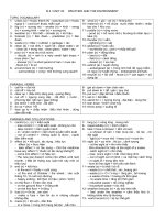 B2 UNIT 20 WEATHER N ENVIRONMENT