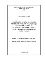 Nghiên cứu sự hấp thụ thuốc Neomycin sulfate của vật liệu cellulose tạo ra từ Gluconacetobacter xylinus nuôi cấy trong môi trường nước vo gạo