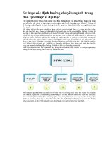 Sơ lược các định hướng chuyên ngành trong đào tạo DƯỢC SỸ HỆ ĐẠI HỌC