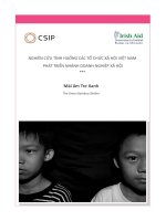 NGHIÊN cứu TÌNH HUỐNG các tổ CHỨC xã hội VIỆT NAM PHÁT TRIỂN NHÁNH DOANH NGHIỆP xã hội 