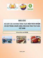 BÁO cáo rà SOÁT các CHƯƠNG TRÌNH THỰC HIỆN TRÁCH NHIỆM xã hội TRONG CHUỖI CUNG ỨNG KHAI THÁC THỦY sản VIỆT NAM với sự hỗ trợ của OXFAM 