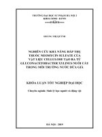 Nghiên cứu khả năng hấp thụ thuốc Neomycin sulfate của vật liệu cellulose tạo ra từ Gluconacetobacter xylinus nuôi cấy trong môi trường nước dừa già_2