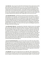 Ảnh hưởng của các sao lưu trong tử vi