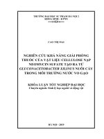 Nghiên cứu khả năng giải phóng thuốc của vật liệu cellulose nạp Neomycin sufate tạo ra từ Gluconacetobacter xilinus nuôi cấy trong môi trường nước vo gạo_2