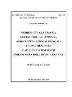 Giá trị của NGAL trong tiên đoán các biến cố tim mạch ở bệnh nhân hội chứng mạch vành cấp (FULL TEXT)