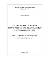 Từ vay mượn tiếng Anh trong một số tác phẩm văn học Việt Nam đương đại_2