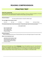 reading comprehension practice