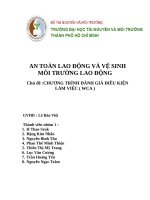 AN TOÀN LAO ĐỘNG VÀ VỆ SINHMÔI TRƯỜNG LAO ĐỘNG Chủ đề CHƯƠNG TRÌNH ĐÁNH GIÁ ĐIỀU KIỆNLÀM VIỆC ( WCA )