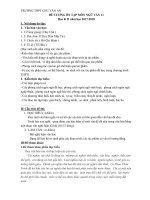 de-cuong-on-tap-ngu-van-11-hk2-nam-2017-2018-truong-chu-van-an-ha-noi