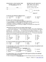 de-kiem-tra-tieng-anh-11-giua-ky-2-nam-2018-2019-truong-ly-thai-to-bac-ninh