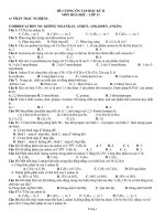 de-cuong-on-tap-hoa-hoc-11-hk2