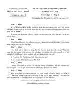 de-thi-hsg-lich-su-10-nam-2018-2019-truong-thuan-thanh-2-bac-ninh