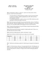 de-thi-chon-hsg-sinh-hoc-10-nam-2017-2018-truong-thpt-ly-thai-to-bac-ninh