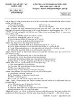 de-thi-hoc-ky-1-sinh-hoc-12-nam-hoc-2018-2019-so-gddt-quang-nam