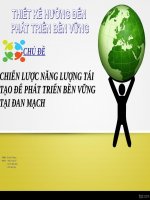 CHIẾN LƯỢC NĂNG LƯỢNG TÁI TẠO ĐỂ PHÁT TRIỂN BỀN VỮNG TẠO ĐỂ PHÁT TRIỂN BỀN VỮNG TẠI ĐAN MẠCH