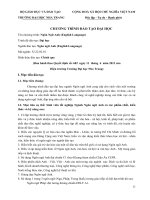 CTDT ngon ngu anh 6 2013 1 