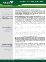 SLIDE THUYẾT TRÌNH NGÀNH NHỰA VCBS