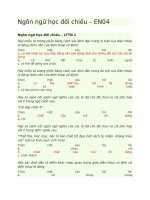 Ngôn ngữ học đối chiếu – EN04
