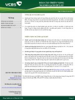 PHÂN TÍCH TỔNG QUAN THỊ TRƯỜNG NGÀNH GẠCH VCBS