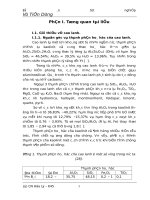 ĐỒ ÁN TỐT NGHIỆP NGÀNH HÓA LÝ - nghiên cứu phản ứng phân bố lại Toluen trên các xúc tác zeolit Y