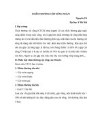 Cha n thu o ng co t so ng lung 