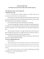 KỸ THUẬT sản XUẤT súp lơ THEO TIÊU CHUẨN VietGAP