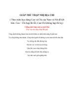 xem tuổi vợ chồng  chồng chữ giáp cưới vợ tuổi  mùi