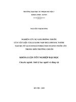 Nghiên cứu sự giải phóng thuốc của vật liệu cellulose nạp diclofenac natri tạo ra từ gluconacetobacter xylinus nuôi cấy trong môi trường chuẩn 