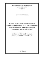 Nghiên cứu khả năng hấp thụ thuốc berberine hydrochloride của vật liệu cellulose tạo ra từ gluconacetobacter xylinus nuôi cấy trong môi trường nước vo gạo 