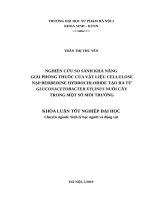 Nghiên cứu so sánh khả năng giải phóng thuốc của vật liệu cellulose nạp berberine hydrochloride tạo ra từ gluconacetobacter xylinus nuôi cấy trong một số môi trường 