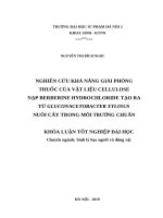 Nghiên cứu khả năng giải phóng thuốc của vật liệu cellulose nạp berberine hydrochloride tạo ra từ gluconacetobacter xylinus nuôi cấy trong môi trường chuẩn 