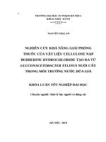 Nghiên cứu khả năng giải phóng thuốc của vật liệu cellulose nạp berberine hydrocloride tạo ra từ gluconacetobacter xylinus nuôi cấy trong môi trường nước dừa già 