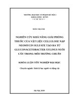 Nghiên cứu khả năng giải phóng thuốc của vật liệu cellulose nạp neomycin sulfate tạo ra từ gluconacetobacter xylinus nuôi cấy trong môi trường chuẩn 