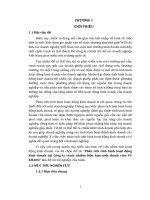 LUẬN VĂN KINH TẾ: PHÂN TÍCH TÌNH HÌNH HOẠT ĐỘNG KINH DOANH TẠI CÔNG TY TNHH MỘT THÀNH VIÊN VY KHANG