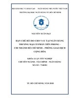 Hạn chế rủi ro cho vay tại ngân hàng thương mại cổ phần tiên phong   chi nhánh hồ chí minh   phòng giao dịch cộng hòa 