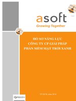 HỒ SƠ NĂNG LỰC CÔNG TY CỐ PHẦN GIẢI PHÁP PHẦN MỀM MẶT TRỜI XANH