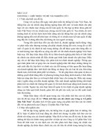 Phan tich bao cao tai chinh ctcp sua viet nam