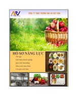 Hồ sơ năng lực – Công ty TNHH Thương mại An Huy Vina