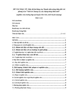 Mức độ hài lòng của Thanh niên nông thôn đối với phong trào “Tuổi trẻ chung tay xây dựng nông thôn mới”