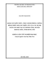 Khảo sát kiến thức, thực hành phòng chống bệnh thiếu máu do thiếu sắt của các bà mẹ nuôi con nhỏ tại xã thành công, huyện khoái châu, tỉnh hưng yên 