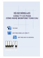 HỒ SƠ NĂNG LỰC CÔNG TY CỔ PHẦN CÔNG NGHỆ MOBIFONE TOÀN CẦU