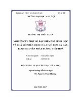 NGHIÊN CỨU MỘT SỐ ĐẶC ĐIỂM MÔ BỆNH HỌC VÀ HOÁ MÔ MIỄN DỊCH CỦA U MÔ ĐỆM DẠ DÀYRUỘT NGUYÊN PHÁT ĐƯỜNG TIÊU HOÁ