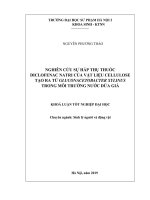 Nghiên cứu sự hấp thụ thuốc diclofenac natri của vật liệu cellulose tạo ra từ gluconacetobacter xylinus trong môi trường nước dừa già 