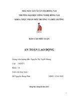 Báo Cáo An Toàn Lao Động Nhà Máy Sản Xuất Oxi-Đồng Nai