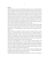 Quản lý nhà nước đối với bán hàng đa cấp ở việt nam tt tiếng anh 