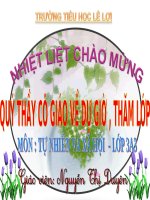 TỰ NHIÊN xã hội   các THẾ hệ TRONG một GIA ĐÌNH   copy