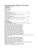 Insulated gate bipolar transistor