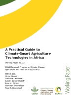 A Practical Guide to Climate-Smart Agriculture Technologies in Africa